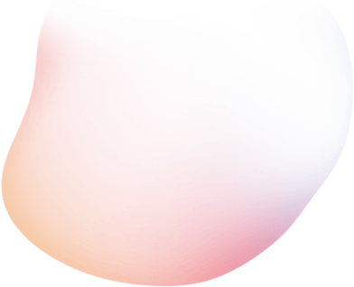 Easy Install Bidet For Existing Toilets