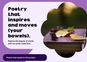 Easy to install bidet for existing toilets.